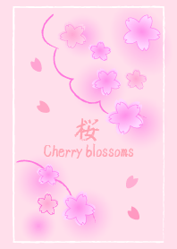 桜 Cherry blossoms