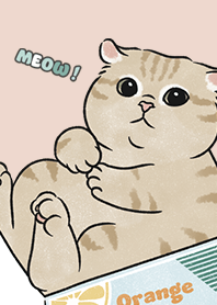 neko single19 - sea shell