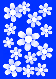 ホワイト フラワー : 白い花 [ブルー] No.3