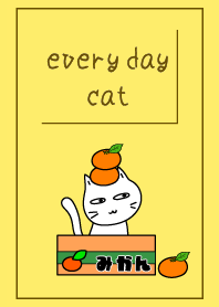 Every day Cat8.
