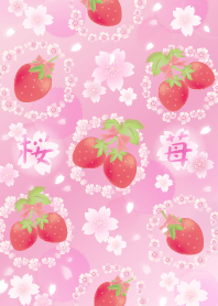 sakura ichigo