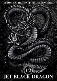 Jet black dragon Golden Lucky 12