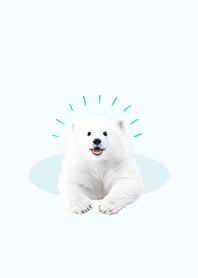 Polar bear summer