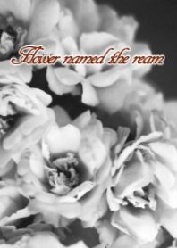 Flower named the ream(overseas edition)