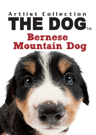 THE DOG Bernese Mountain Dog