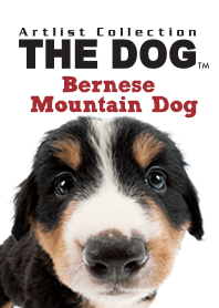 THE DOG バーニーズ・マウンテン・ドッグ