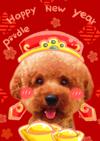 A cute poodle dog!Happy new year!