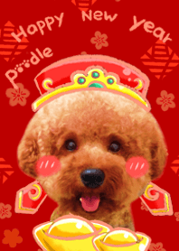 好運汪汪來!Happy new year!