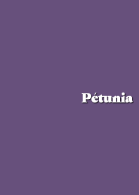 Petunia
