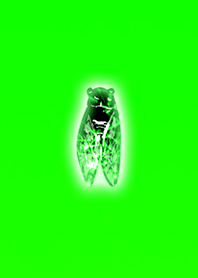 Capture a healthy cicada