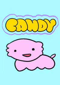 ウーパールーパーのキャンディちゃん