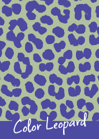 COLOR LEOPARD THEME -43