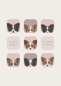 DOGS - Papillon - PINK GRAY