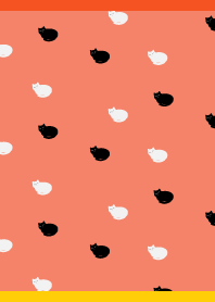 Two tiny cats on R&Y