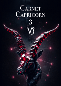 Fortune Garnet Capricorn 03