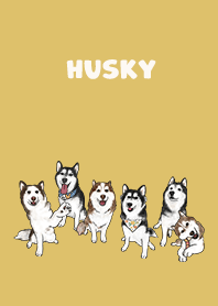 husky1 / mustard