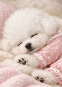 沈睡的比熊犬：粉紅水玉的輕柔療癒