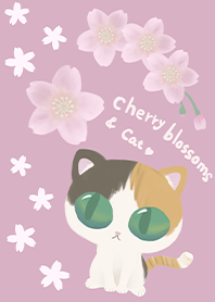 calico cat and cherry blossoms