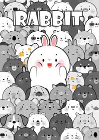 Outstanding White  Rabbit theme