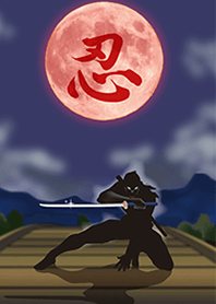 Black shadow of ninja 1