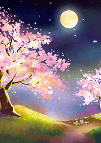 Beautiful night cherry blossoms#1018