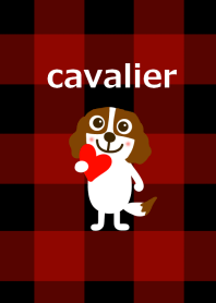 Cavalier dog and check pattern