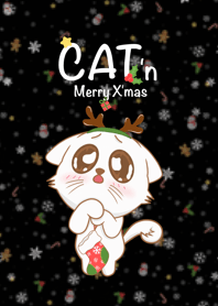 CAT 'n Merry X'mas Night