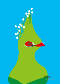 beau green bird