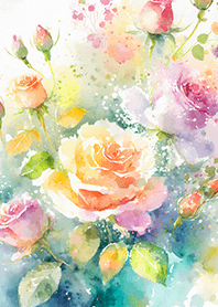 Beautiful rose flower(R4622)