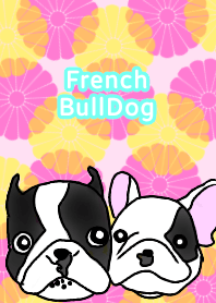 Good friend French Bull-Dog Sauce