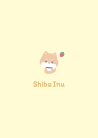 Shiba Inu3 Strawberry / Yellow