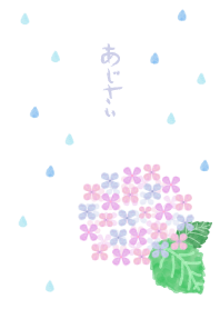 あじさいの雫