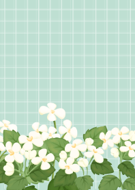 Garlic Mustard Green Background