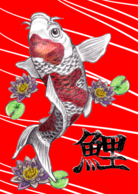 鯉の着せかえ