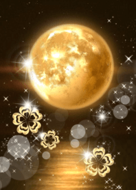 運気爆上げ♡黄金満月と黄金クローバー