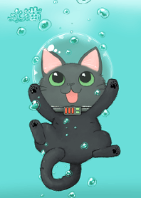 水猫