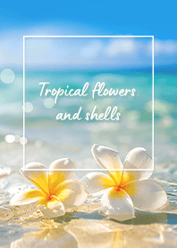 Floating Flowers (PR) -  12 Mint