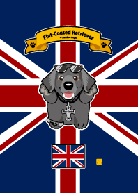 Flat Coated Retriever