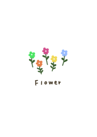 White x flowers. Adult.