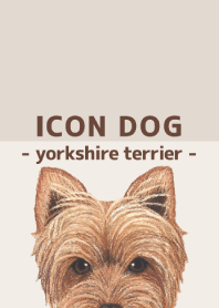 ICON DOG - Yorkshire terrier - BROWN/05