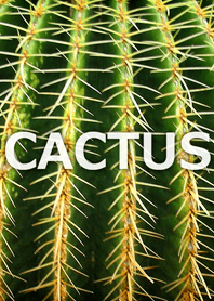 CACTUS-サボテン