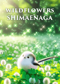 wild flowers SHIMAENAGA