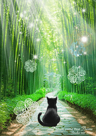 Black cat and fresh green bamboo forest