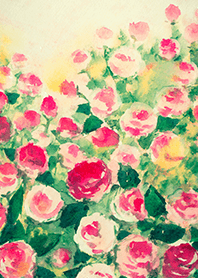 Beautiful rose flower(R4746)