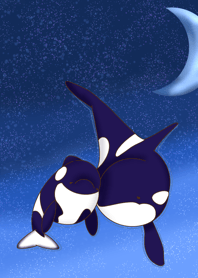 【海の王子】シャチ 青バージョン