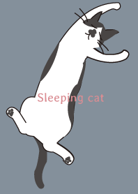 Sleeping cat..20