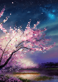 Beautiful night cherry blossoms#1112