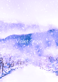 Violet winter