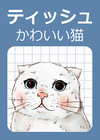 "ティッシュ" かわいい猫