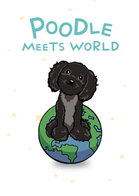 Black Poodle Meets World - Pure Sky